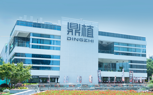 DINGZHI DENTAL(Guangzhou)